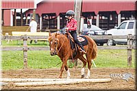 4H-2nd--072813-1732.jpg