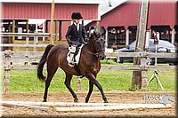 4H-2nd--072813-1798.jpg