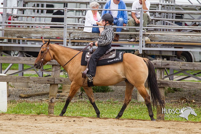 4H-2nd--072813-2681.jpg