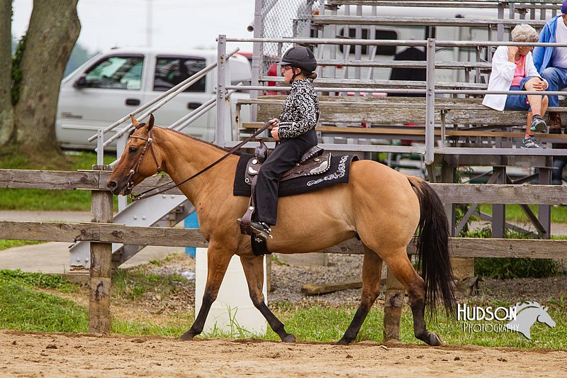 4H-2nd--072813-2682.jpg