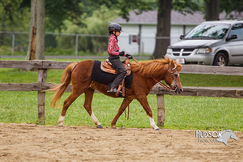 4H-2nd--072813-2652.jpg