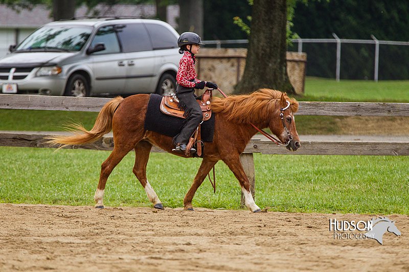 4H-2nd--072813-2653.jpg