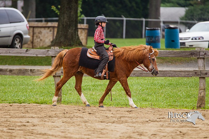 4H-2nd--072813-2654.jpg