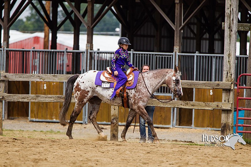 4H-2nd--072813-2574.jpg