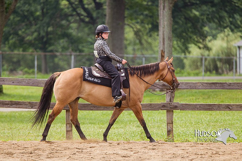 4H-2nd--072813-2584.jpg