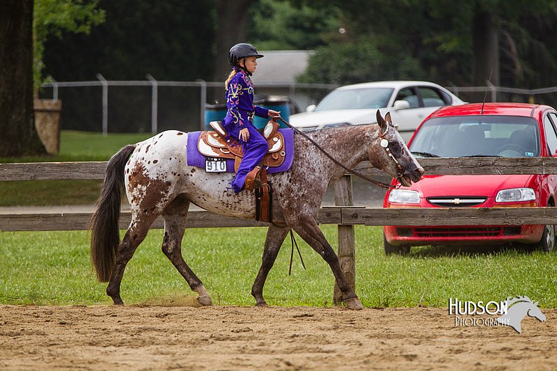 4H-2nd--072813-2589.jpg
