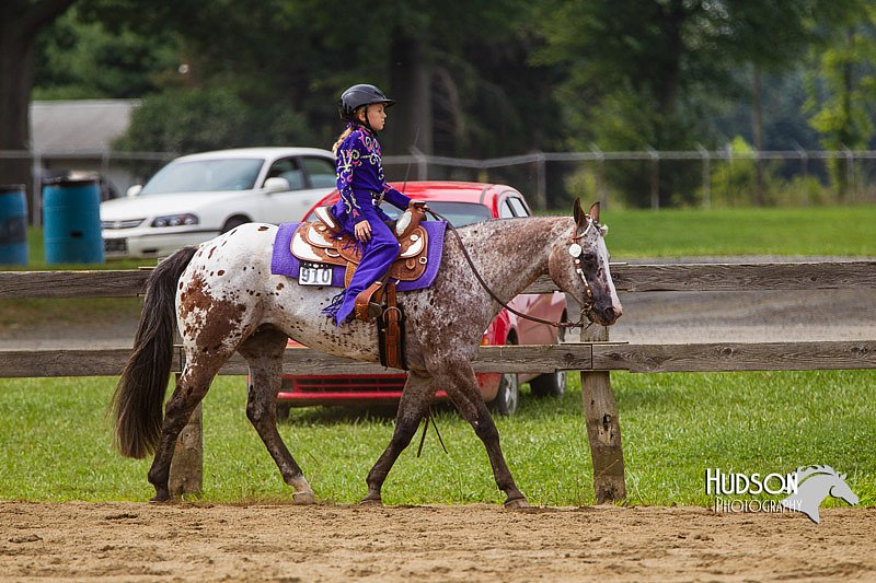4H-2nd--072813-2590.jpg