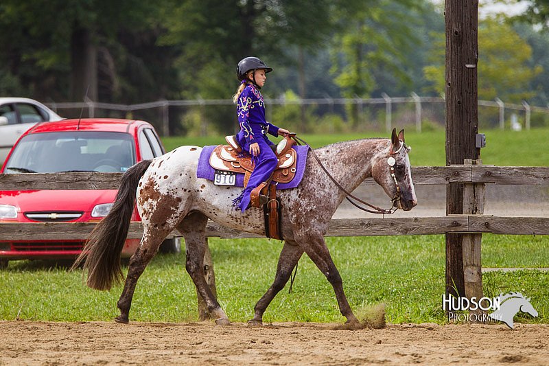 4H-2nd--072813-2591.jpg