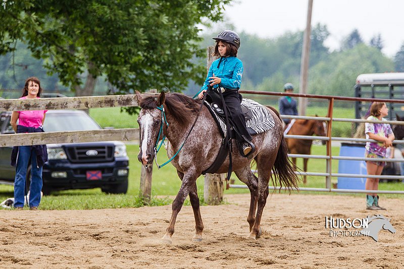 4H-2nd--072813-2528.jpg