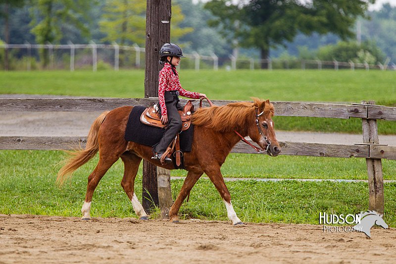 4H-2nd--072813-2539.jpg