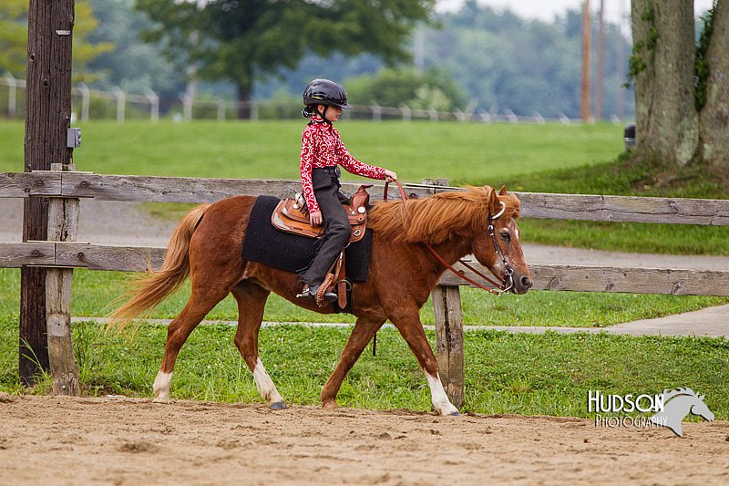 4H-2nd--072813-2540.jpg