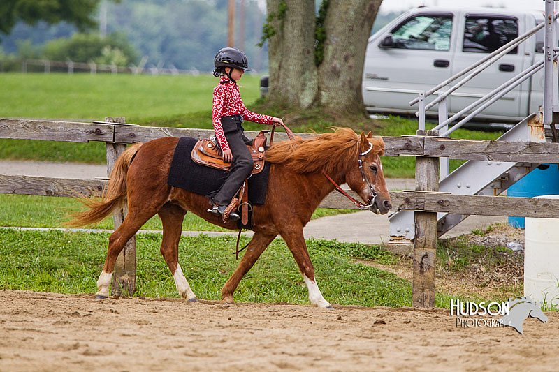 4H-2nd--072813-2541.jpg