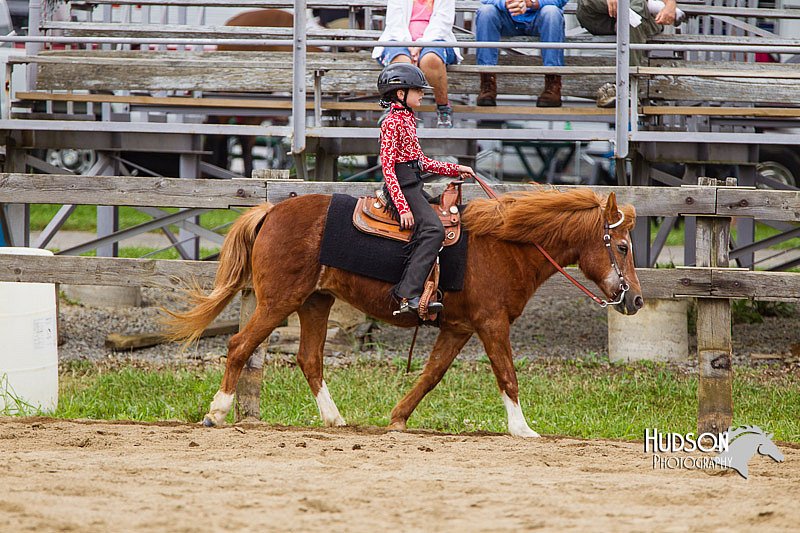 4H-2nd--072813-2542.jpg