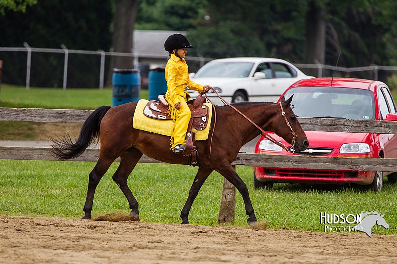 4H-2nd--072813-2544.jpg