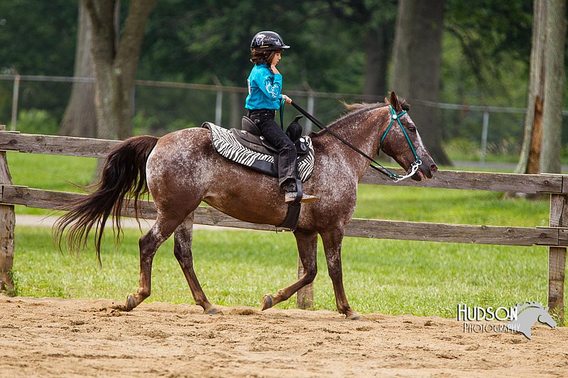 4H-2nd--072813-2548.jpg