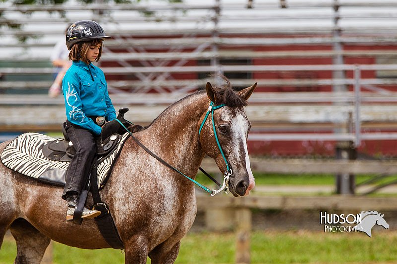 4H-2nd--072813-2551.jpg