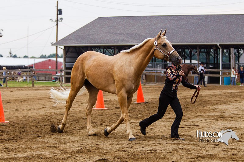 4H-2nd--072813-1265.jpg