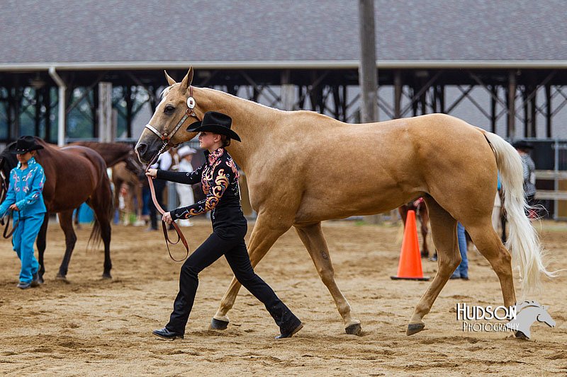 4H-2nd--072813-1267.jpg