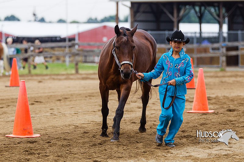 4H-2nd--072813-1280.jpg
