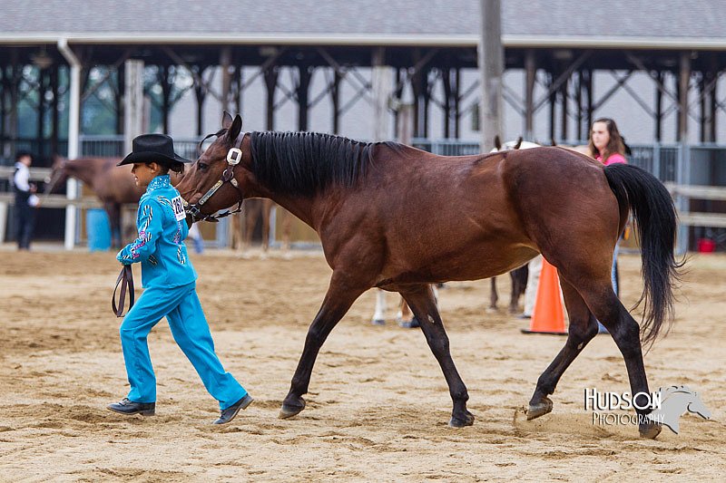 4H-2nd--072813-1282.jpg