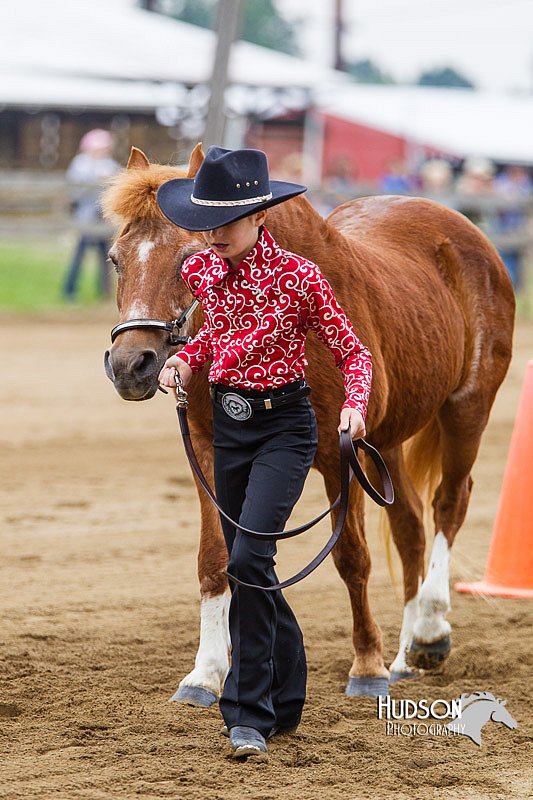 4H-2nd--072813-1301.jpg