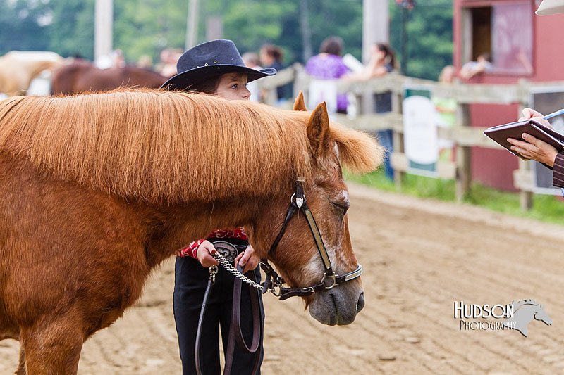 4H-2nd--072813-1305.jpg