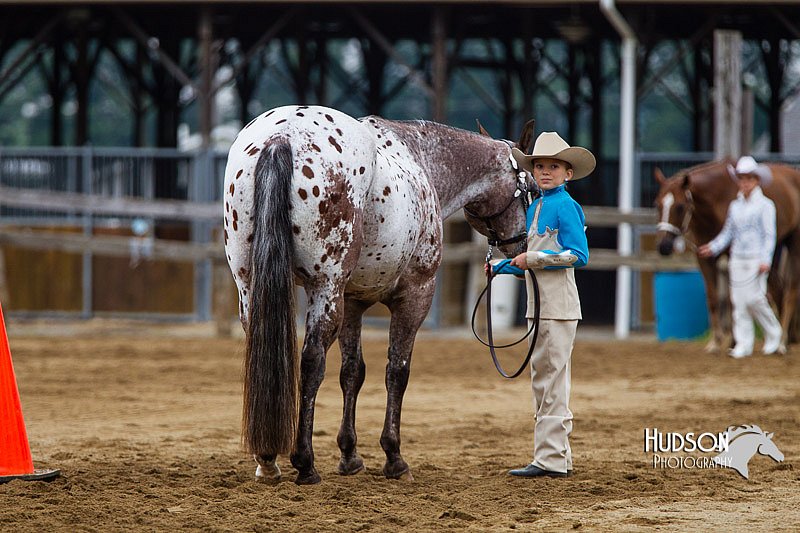 4H-2nd--072813-1310.jpg