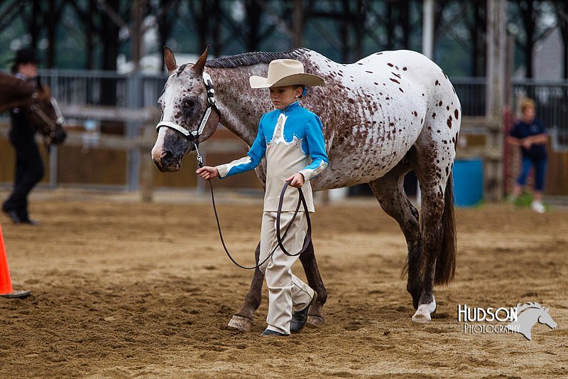 4H-2nd--072813-1311.jpg