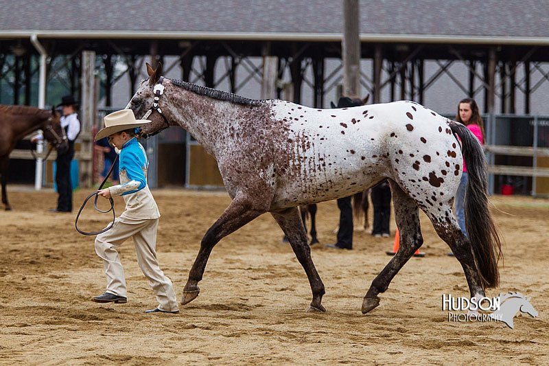 4H-2nd--072813-1314.jpg