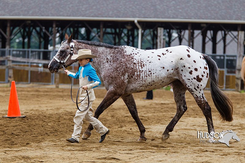 4H-2nd--072813-1315.jpg