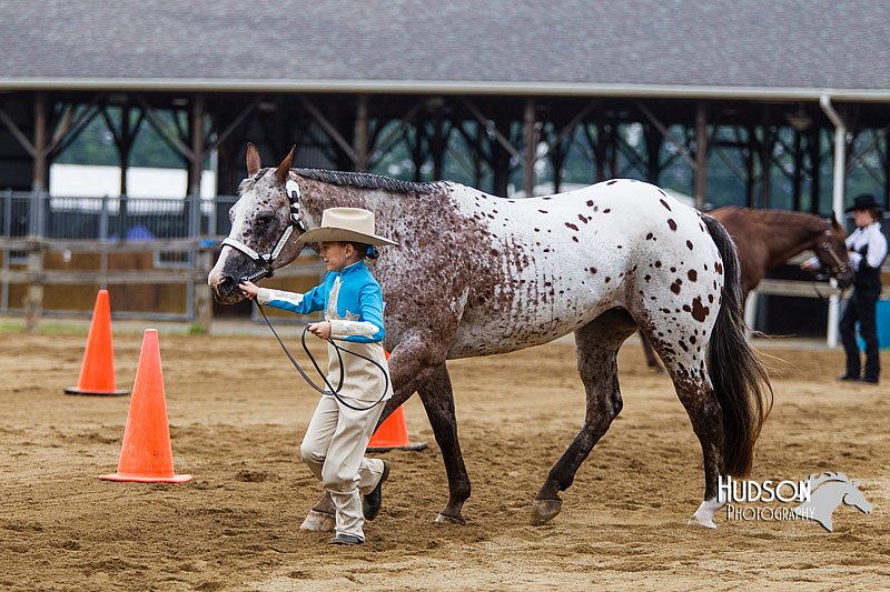 4H-2nd--072813-1316.jpg