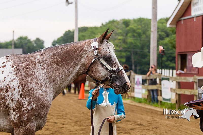 4H-2nd--072813-1318.jpg