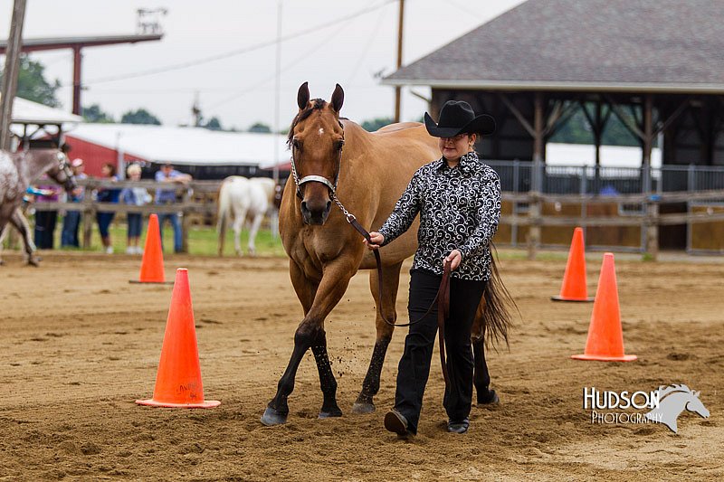4H-2nd--072813-1323.jpg