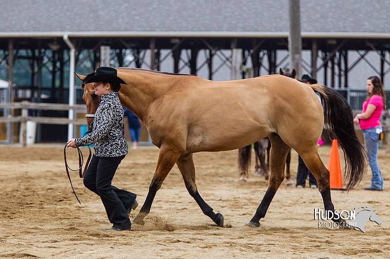 4H-2nd--072813-1325.jpg