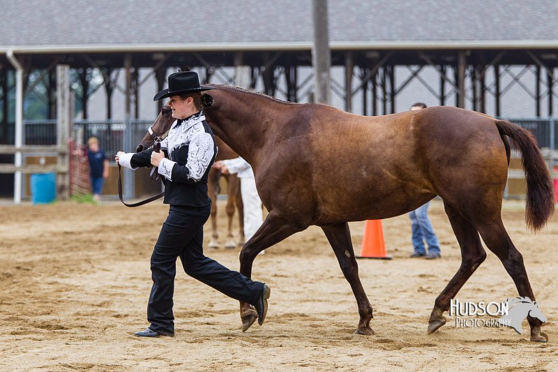 4H-2nd--072813-1346.jpg