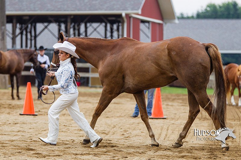 4H-2nd--072813-1355.jpg