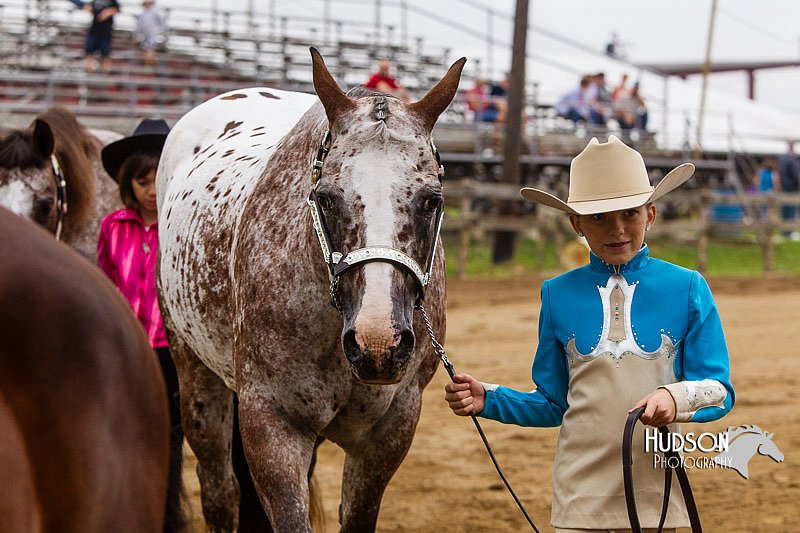 4H-2nd--072813-1375.jpg