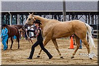 4H-2nd--072813-1267.jpg