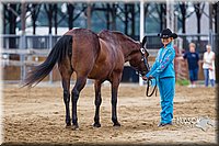 4H-2nd--072813-1275.jpg