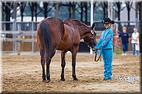 4H-2nd--072813-1276.jpg