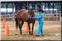 4H-2nd--072813-1277.jpg
