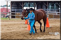 4H-2nd--072813-1278.jpg