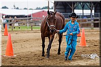 4H-2nd--072813-1280.jpg
