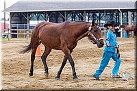 4H-2nd--072813-1281.jpg