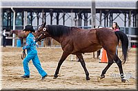 4H-2nd--072813-1282.jpg
