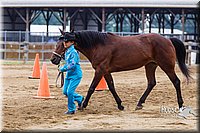 4H-2nd--072813-1284.jpg