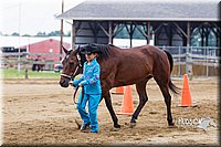 4H-2nd--072813-1285.jpg