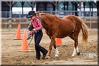 4H-2nd--072813-1297.jpg