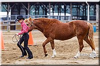 4H-2nd--072813-1300.jpg