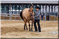4H-2nd--072813-1321.jpg